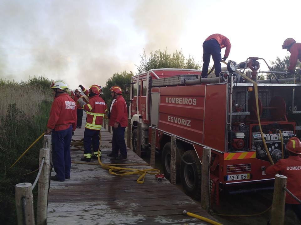Esmoriz: Barrinha a arder no domingo de Páscoa Esmoriz: Barrinha a arder no domingo de Páscoa