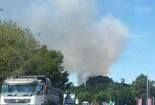 Arada: Incêndio consome área florestal nos Carvalhais Arada: Incêndio consome área florestal nos Carvalhais