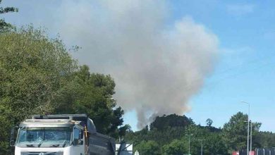 Arada: Incêndio consome área florestal nos Carvalhais Arada: Incêndio consome área florestal nos Carvalhais