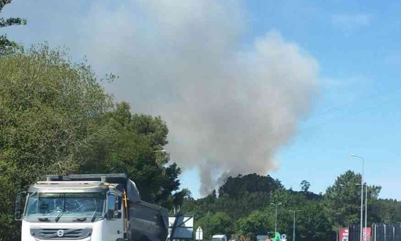 Arada: Incêndio consome área florestal nos Carvalhais Arada: Incêndio consome área florestal nos Carvalhais