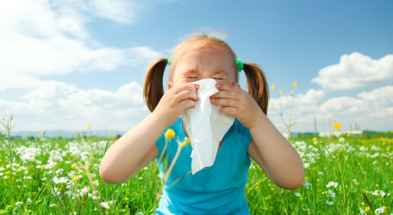 Alergias: Concentrações de pólen muito elevadas na nossa região