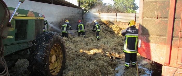 Válega: Incêndio em propriedade agrícola de S. Miguel Válega: Incêndio em propriedade agrícola de S. Miguel