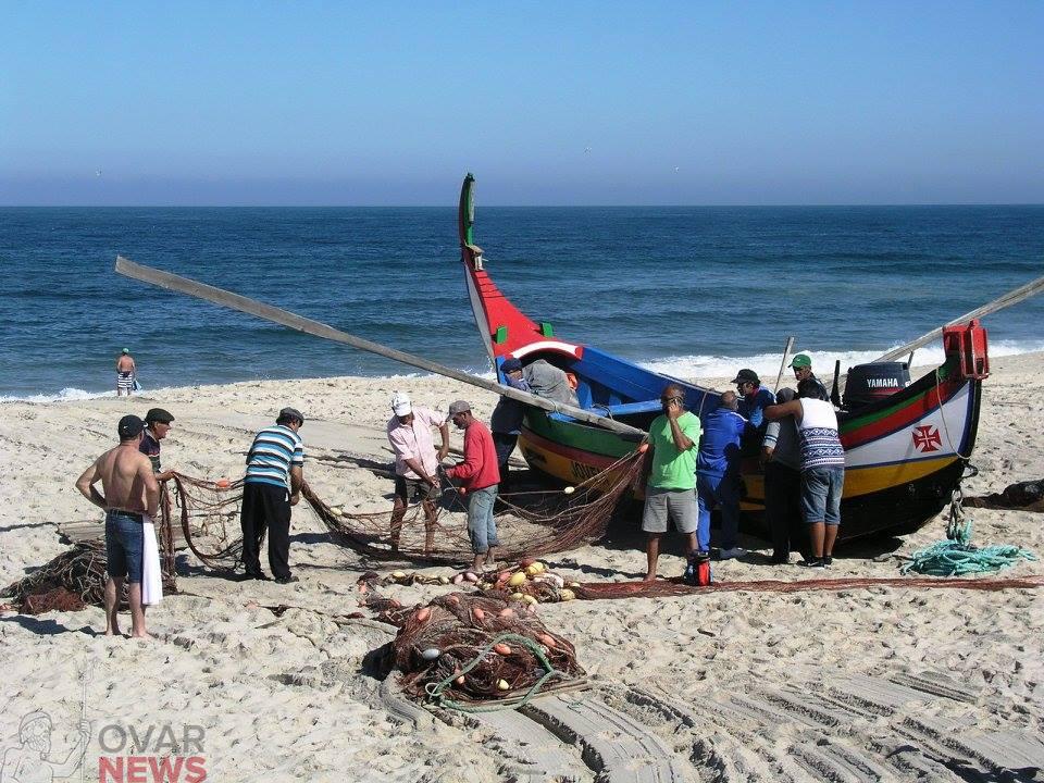 Sardinha: Xávega prefere não contar para as quotas de pesca Sardinha: Xávega prefere não contar para as quotas de pesca