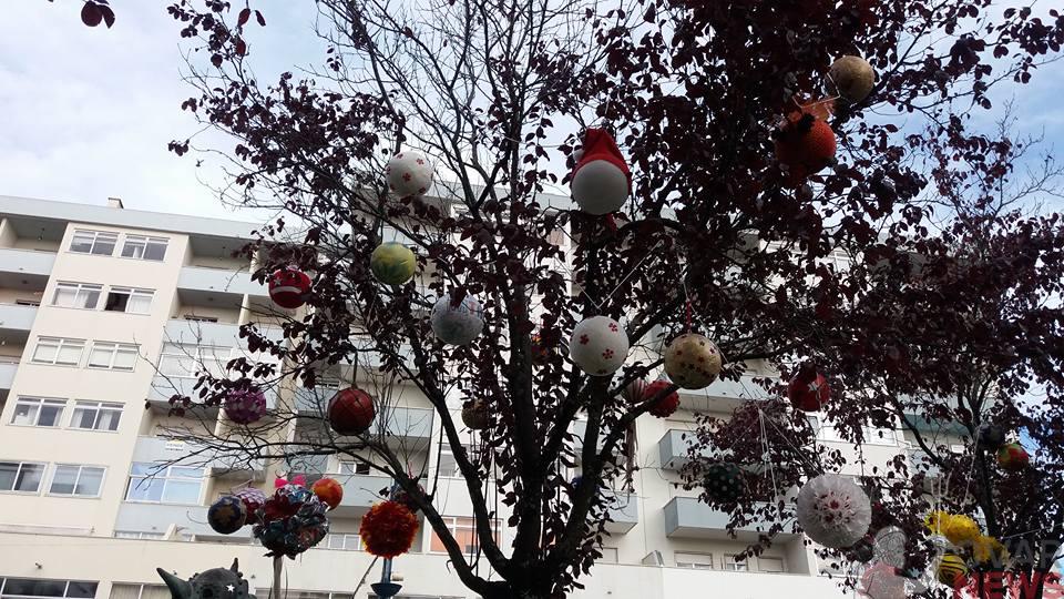 Chegou o Natal ao Jardim do Cáster