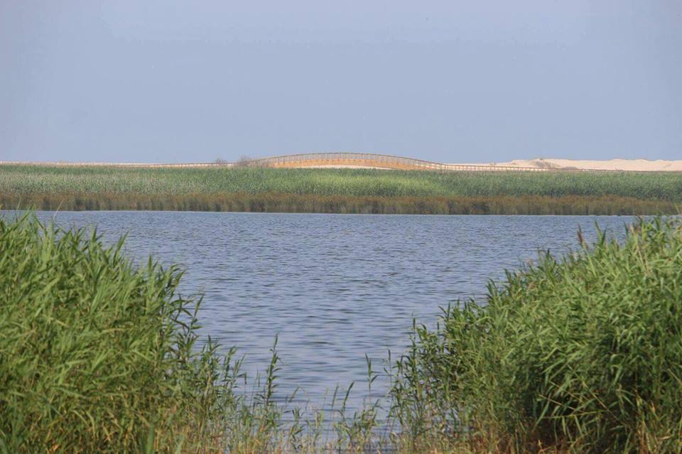 Uma Porta Giratória, na Agricultura - Florindo Pinto