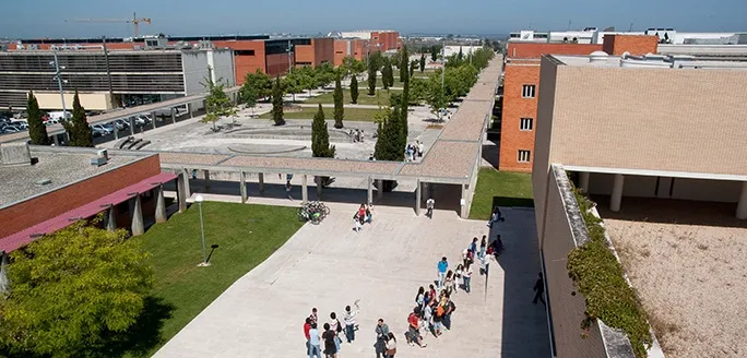 Candidaturas abertas para microcredenciais na ESAN e Departamento de Física da UA.