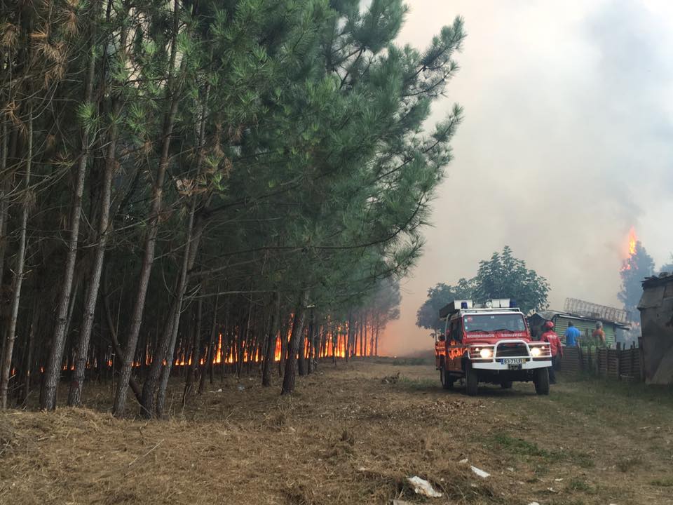 Idoso suspeito de provocar incêndio florestal detido pela PJ