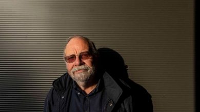 Manuel Freire: “Ter um trabalho deu-me sempre grande liberdade” (DN)