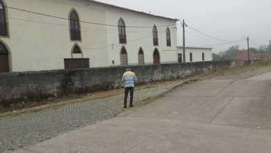 Plantas infestantes cortadas na Estação