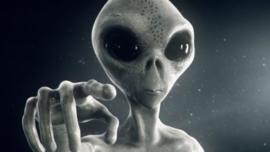Relato de um Alien- Rosendo Costa