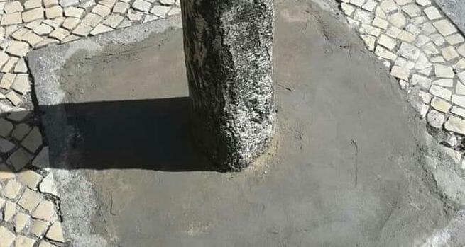 PS: Um canteiro cimentado não é normal PS: Um canteiro cimentado não é normal