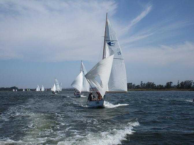 Este é o Cruzeiro da Ria número 60