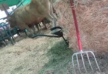 Aviso para apoios a Pequenos Investimentos na Exploração Agrícola Aviso para apoios a Pequenos Investimentos na Exploração Agrícola