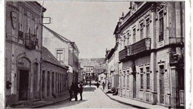 A saúde em Ovar há 200 anos – Marco Pereira