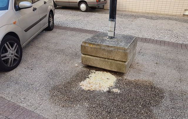 O mistério da massa espalhada pelo Furadouro O mistério da massa espalhada pelo Furadouro