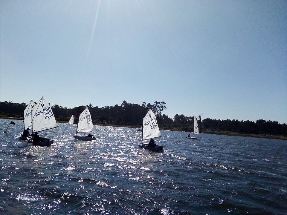 Regata de São Martinho no porto de Recreio do Carregal