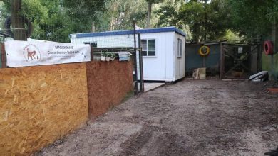 MARAnimais lança ‘crowdfunding’ para albergar 85 animais em risco