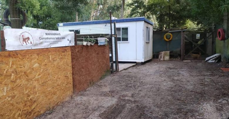 MARAnimais lança ‘crowdfunding’ para albergar 85 animais em risco MARAnimais lança ‘crowdfunding’ para albergar 85 animais em risco