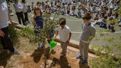 Colégio de Lamas celebra 52 anos e planta oliveira