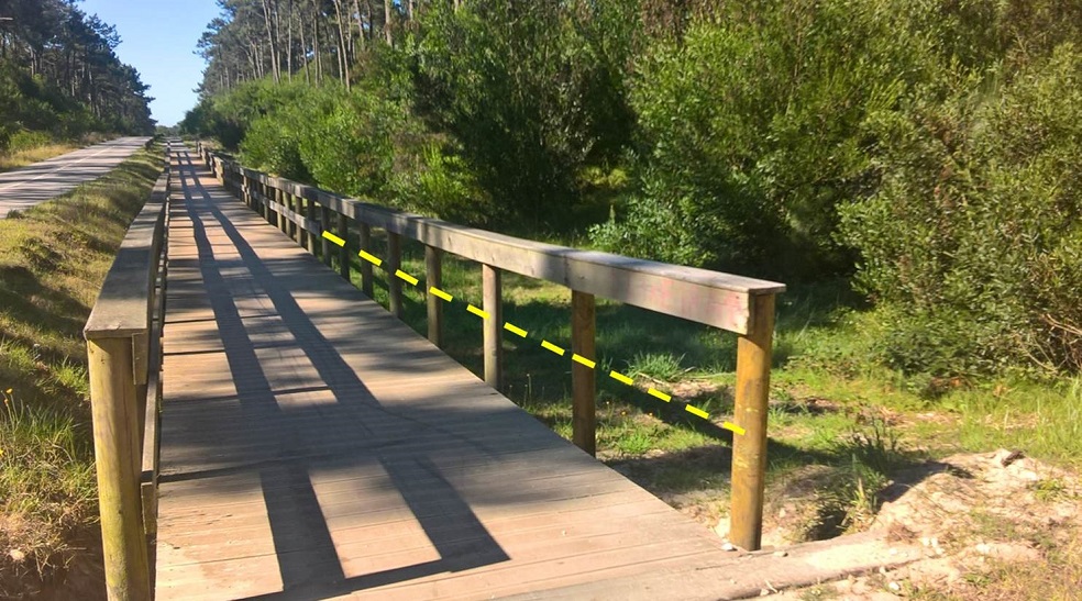 Descobre o que é o "Plogging" na Ecopista do Atlântico - Não há um planeta B