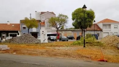 Município esclarece abate de árvores no Largo Santa Camarão