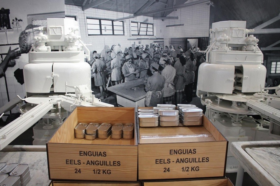 "Património Industrial, Cultural e Natural da Região tema de concurso de fotografia