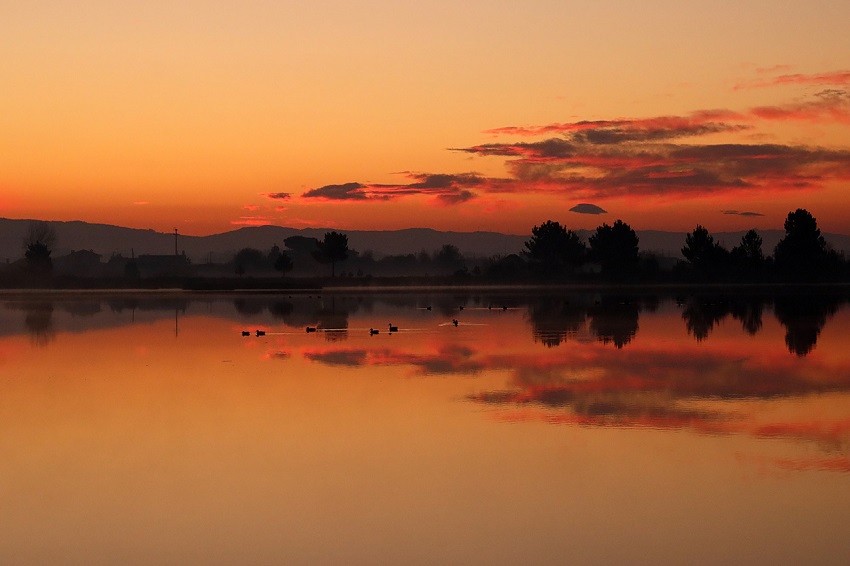 Último dia para entrar no 18.º concurso «AMBID 2022»