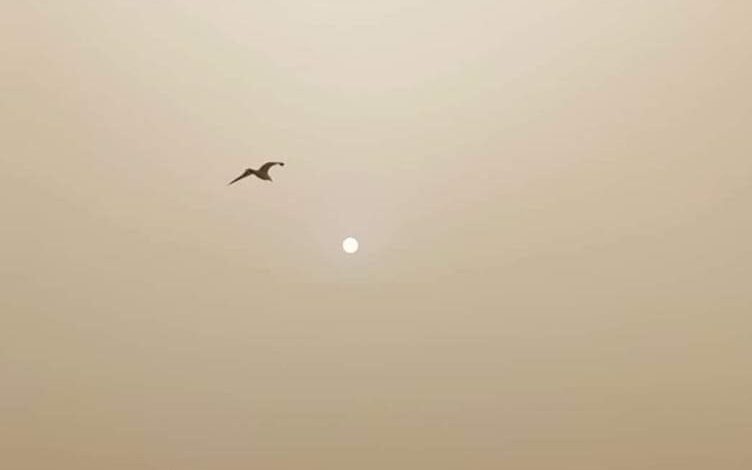 Agência Portuguesa do Ambiente alerta para fraca qualidade do ar devido a nuvens de poeira Agência Portuguesa do Ambiente alerta para fraca qualidade do ar devido a nuvens de poeira