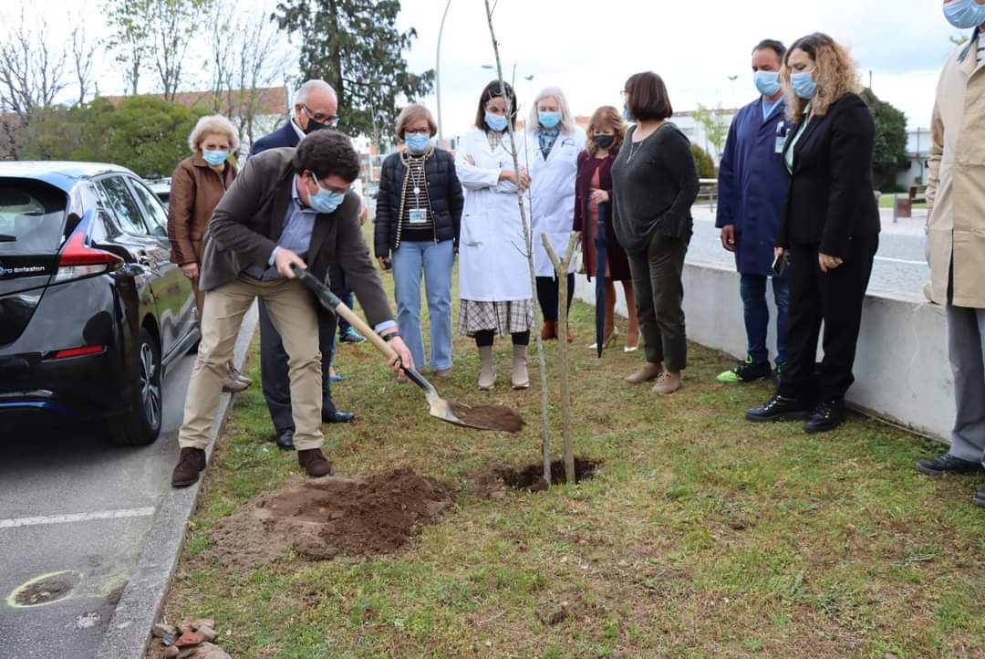 Hospital planta árvores para assinalar efeméride