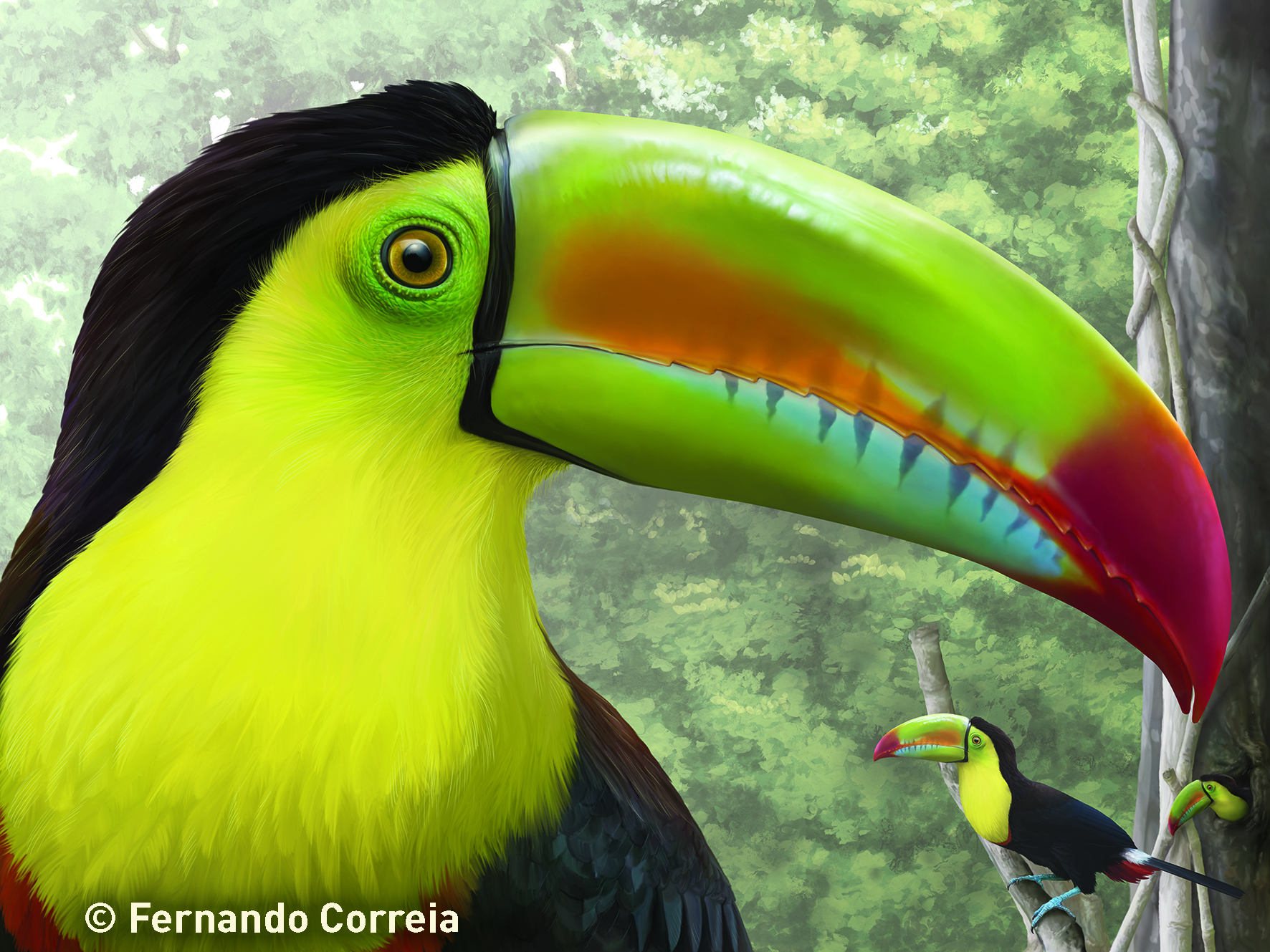 Ilustrador aveirense conclui nova colecção de selos da ONU