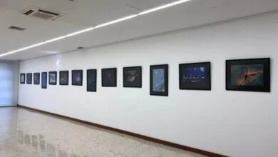 Casa da Junta de São João d recebe exposição de fotografia de Natureza dos Amigos do Cáster
