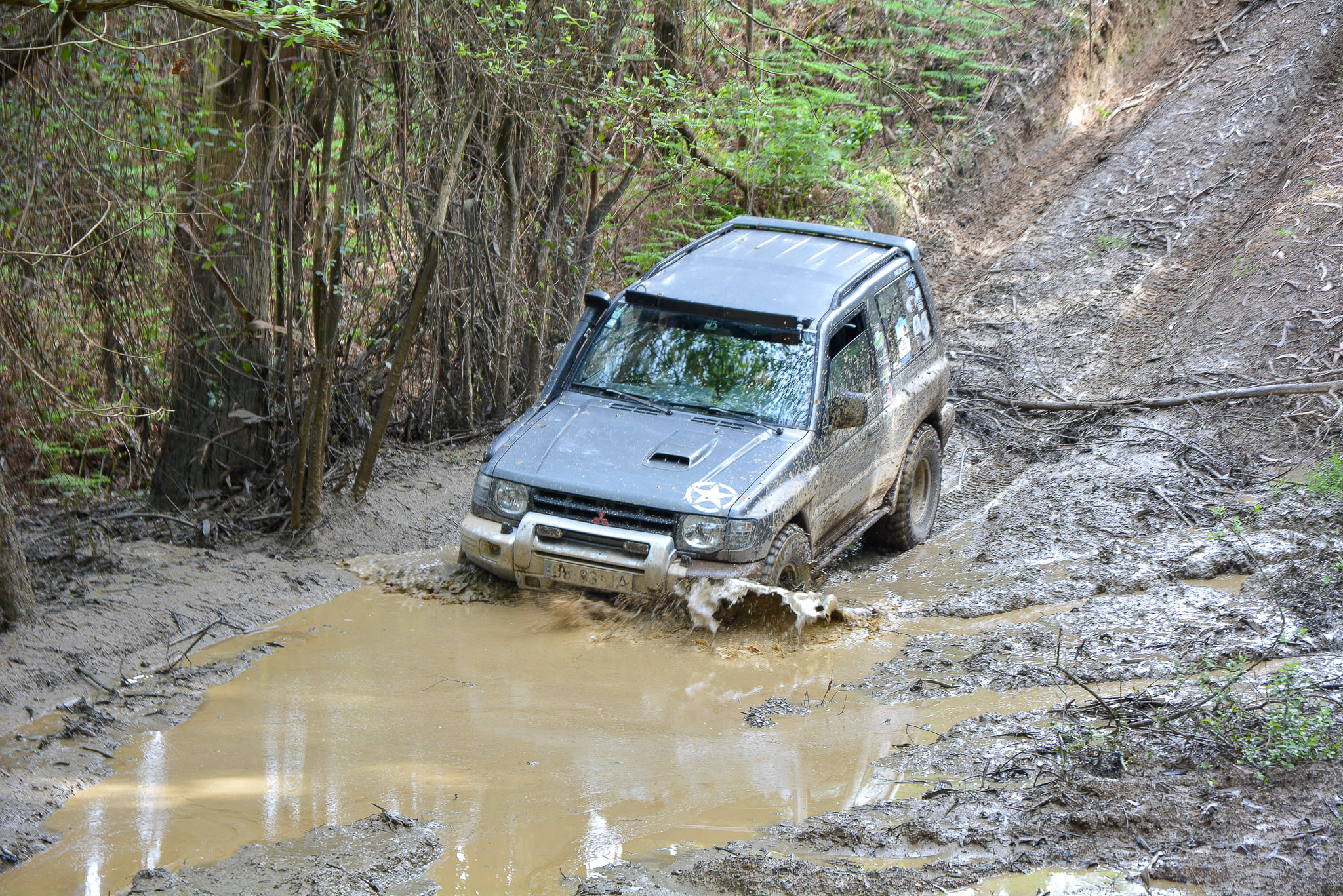Emoção de volta com o