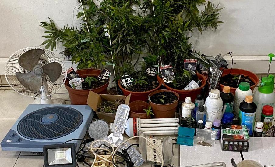 Estufa de cannabis descoberta após incêndio em habitação