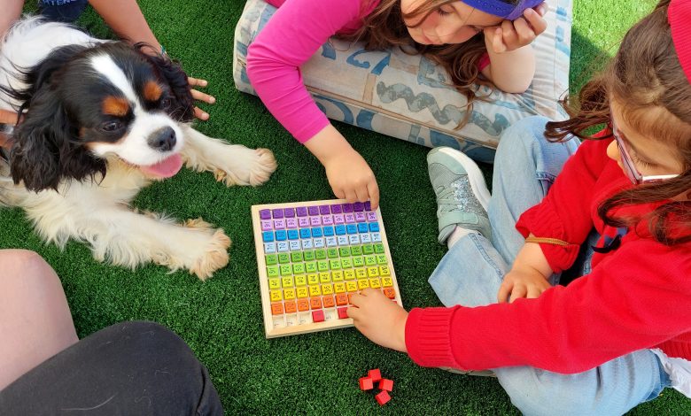 Cães da “Terra D’Anjos” estimulam desenvolvimento cognitivo e emocional das crianças Cães da “Terra D’Anjos” estimulam desenvolvimento cognitivo e emocional das crianças