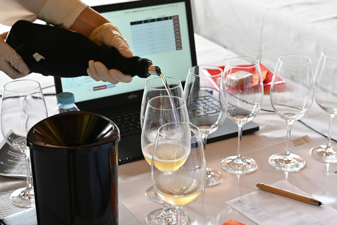 E os melhores vinhos do ano são…