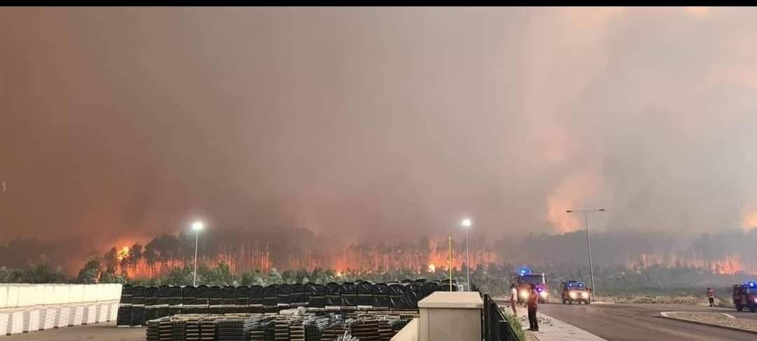 Homem confessou autoria de incêndio que causou milhões de prejuízo