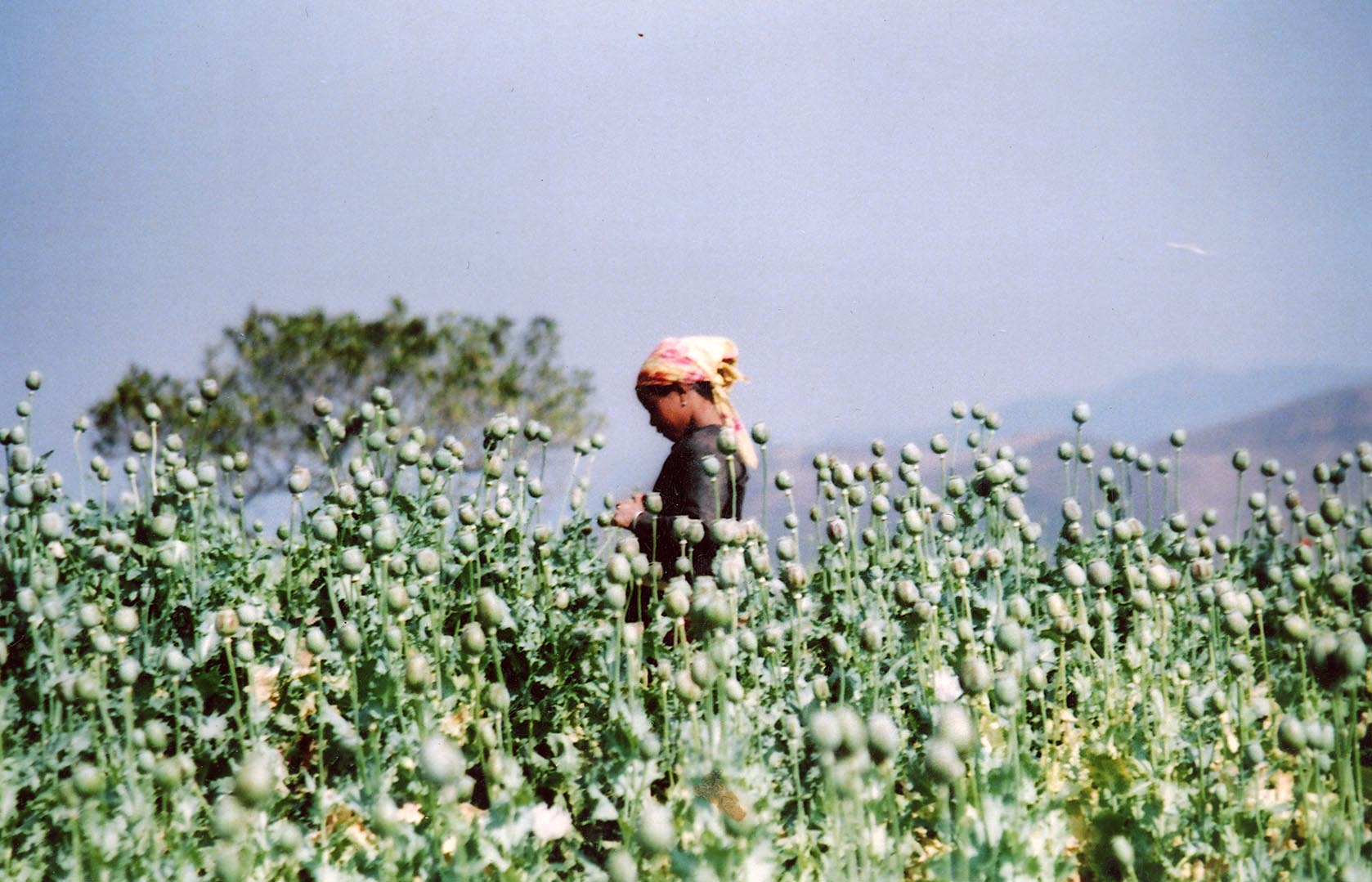 Festival de cinema de Avanca sob o signo dos "deslocados"