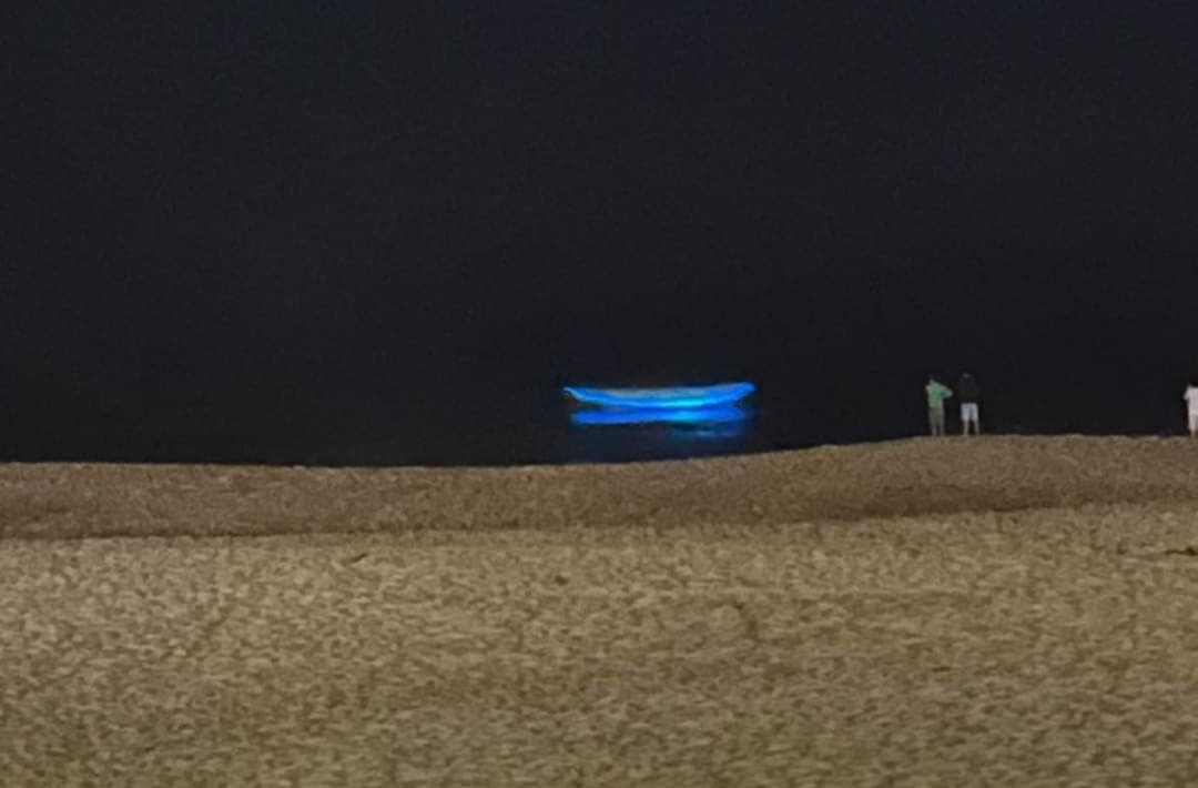 Maré bioluminescente na praia do Furadouro