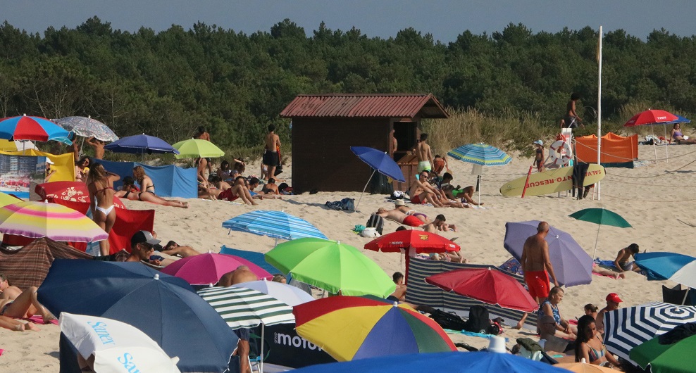 Amigos do Cáster identificam ameaças ao ecossistema dunar no Furadouro