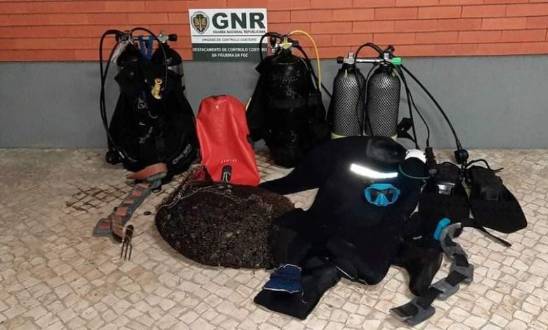 Mergulhadores identificados por apanha ilegal de bivalves Mergulhadores identificados por apanha ilegal de bivalves