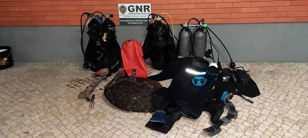 Mergulhadores identificados por apanha ilegal de bivalves