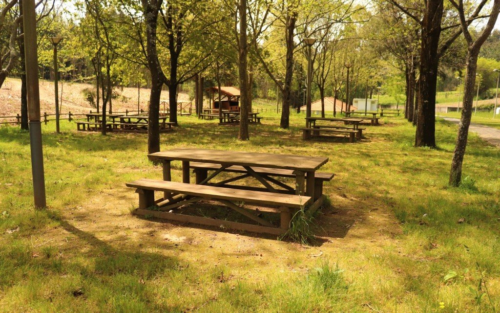 Parque de Lazer e Bem-Estar de São Vicente de Pereira vai ser uma realidade