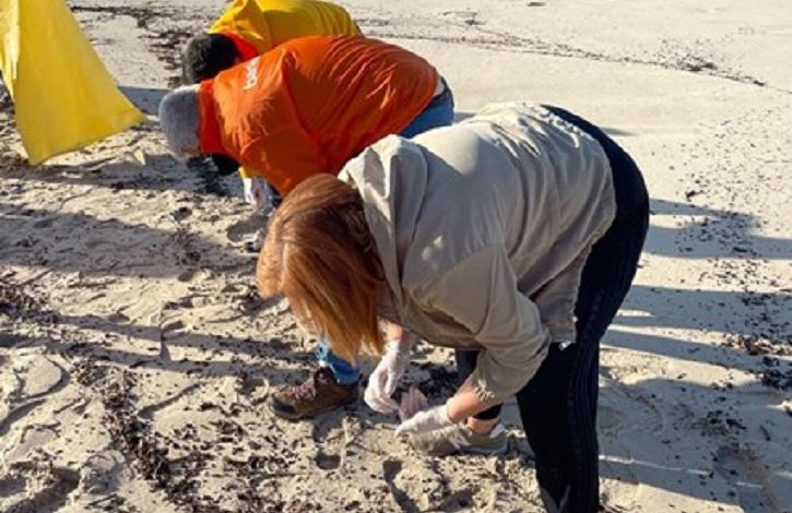 Colaboradores do Bankinter recolhem lixo na praia da Maceda e apoiam famílias de crianças com cancro Colaboradores do Bankinter recolhem lixo na praia da Maceda e apoiam famílias de crianças com cancro