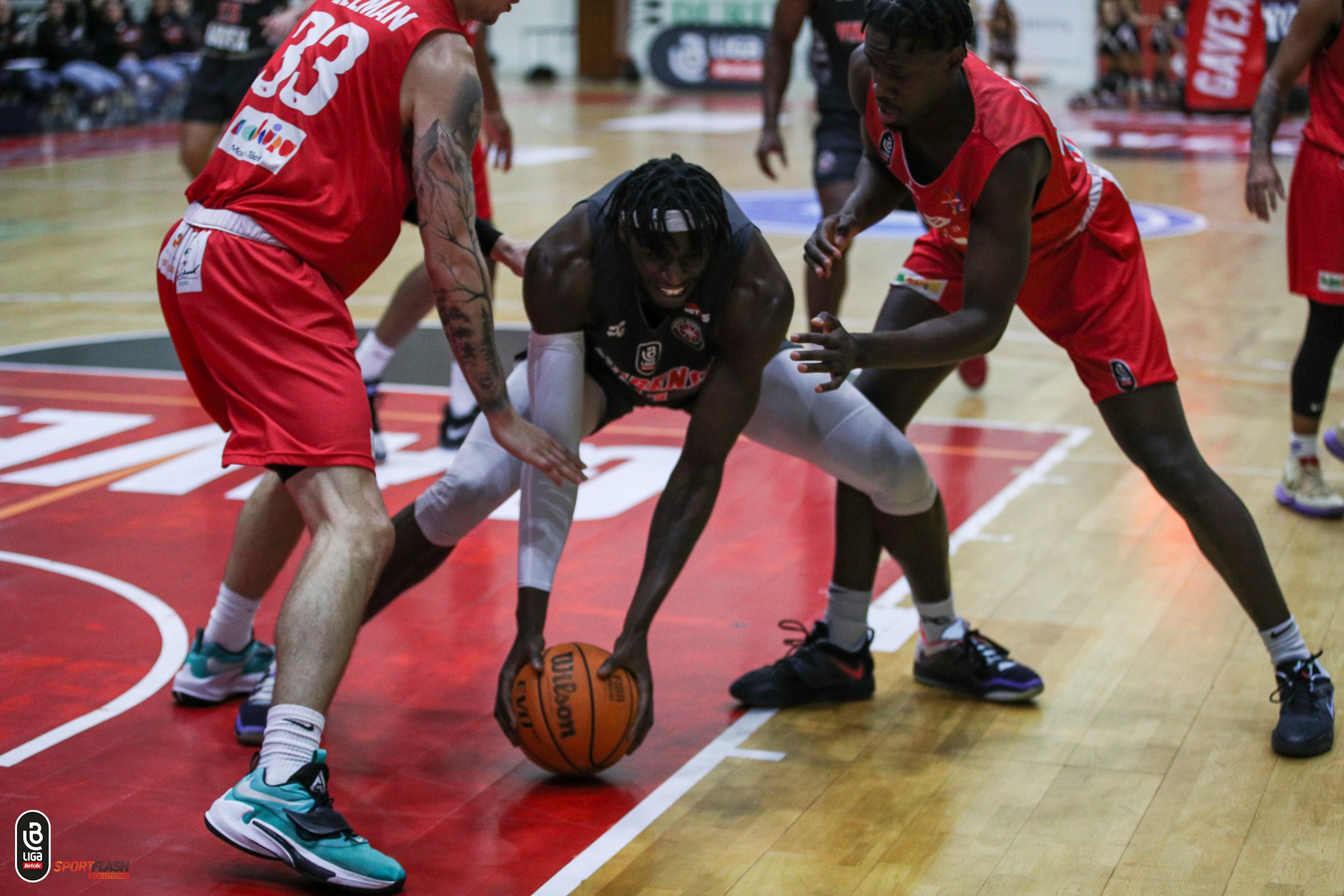 Vareiros surpreendidos em casa pelo CAB Madeira