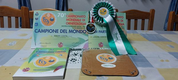 Criador de Cortegaça sagrou-se campeão do mundo de ornitologia em Itália Criador de Cortegaça sagrou-se campeão do mundo de ornitologia em Itália