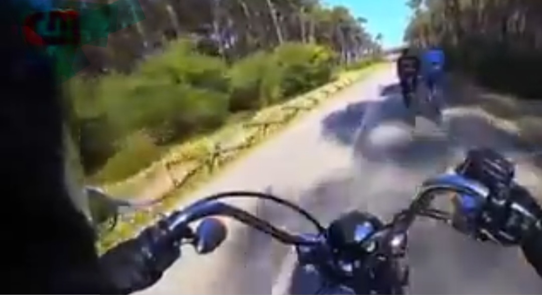 Motociclista filma-se a insultar e a empurrar ciclistas