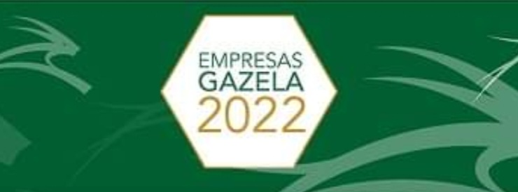 Ovar tem cinco empresas Gazela em 2023
