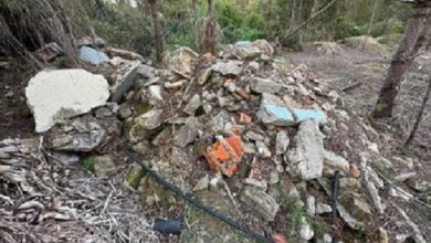 Quercus Aveiro denuncia deposição ilegal de amianto na zona florestal de Ovar
