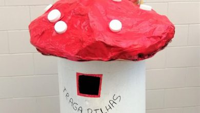 EB de Argoncilhe foi a mais criativa do programa Geração Depositrão