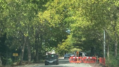 Circulação alternada na Avenida D. Maria II
